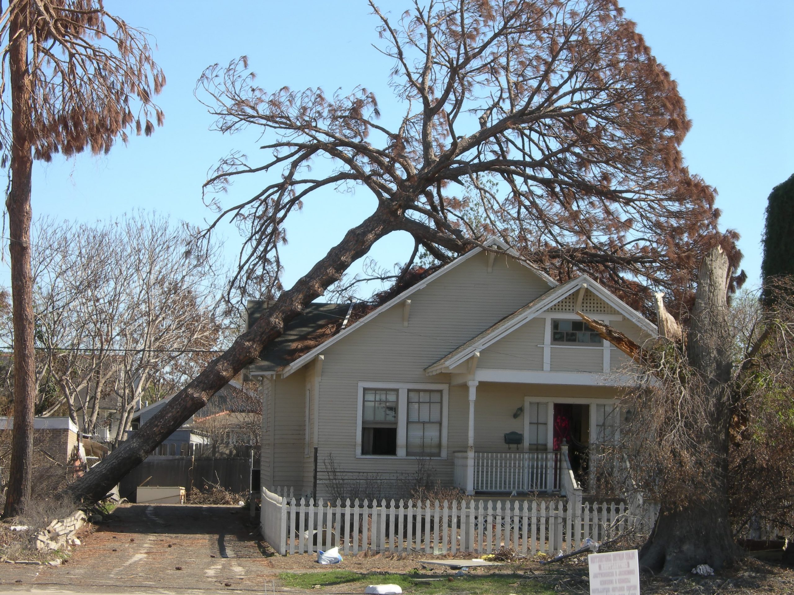 a tree in front of a house