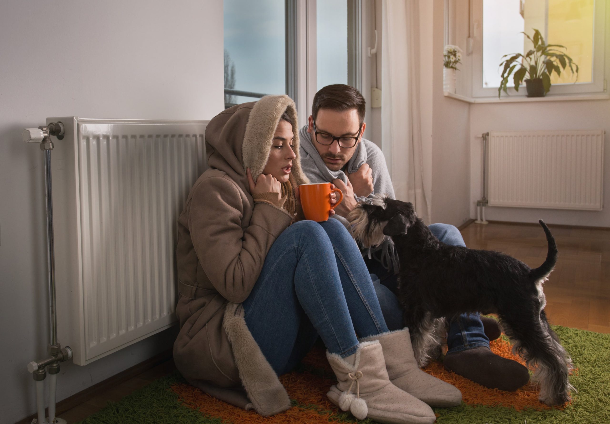 a person holding a dog