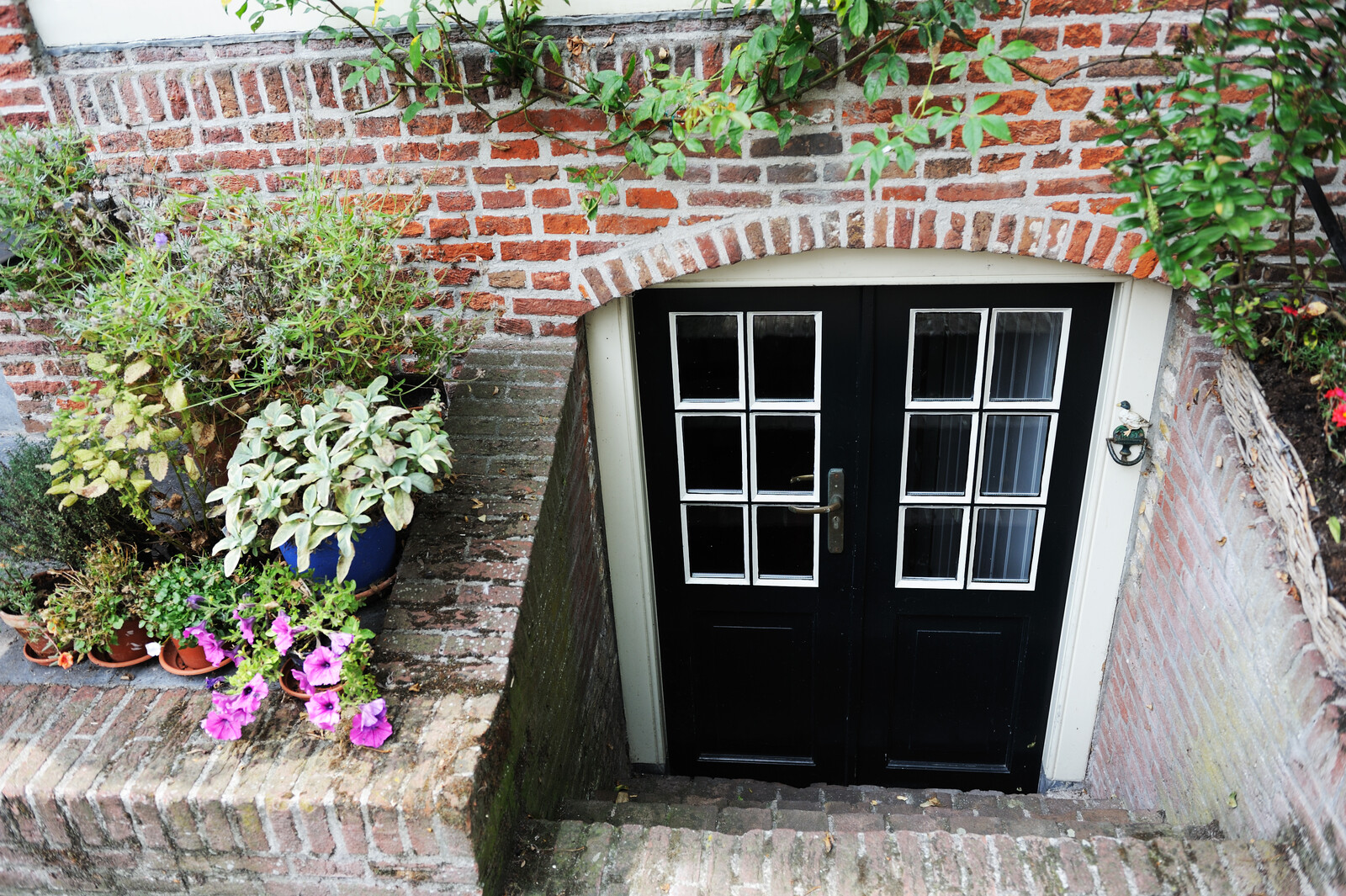 a close up of a flower garden in front of a brick building