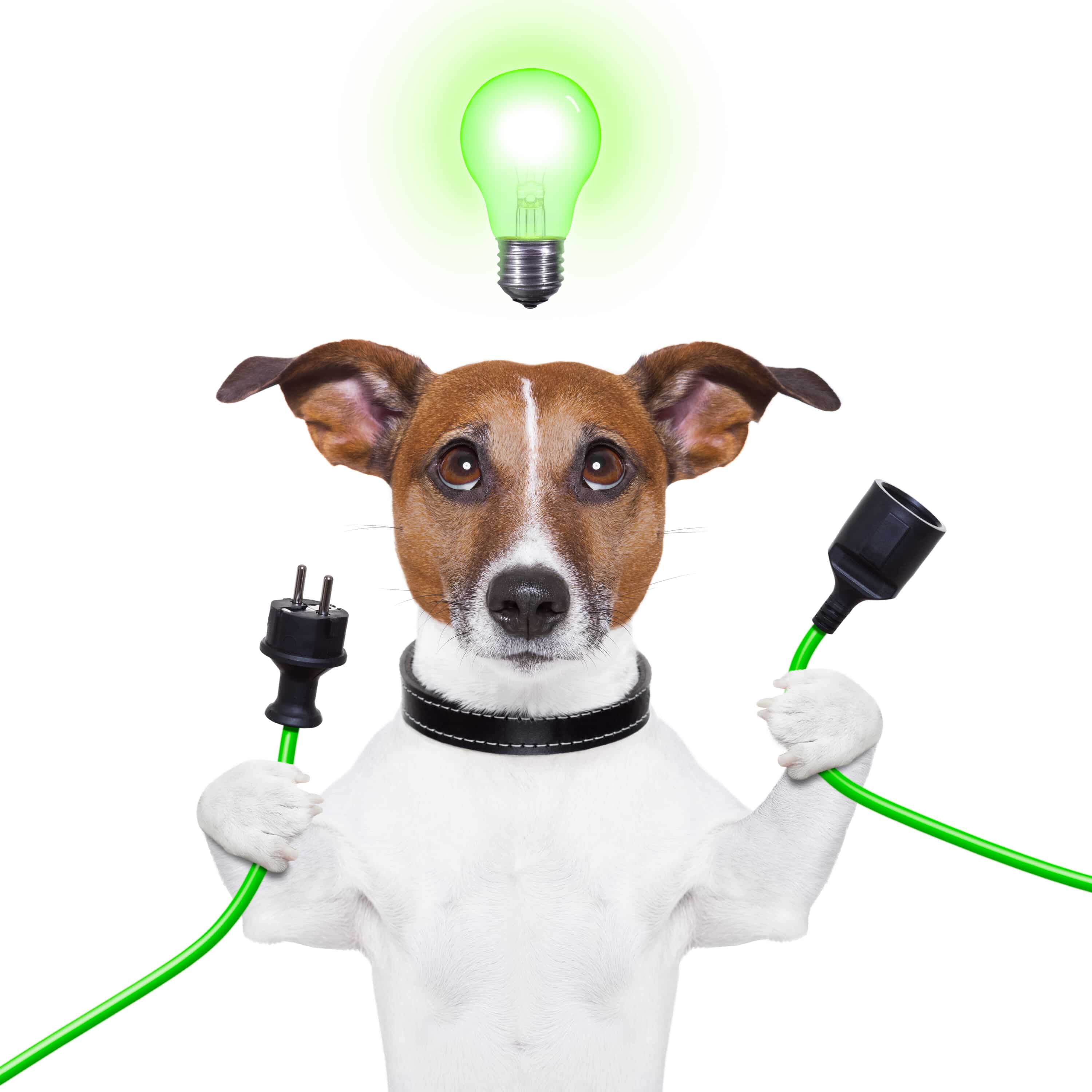 Saving Energy in the Summer