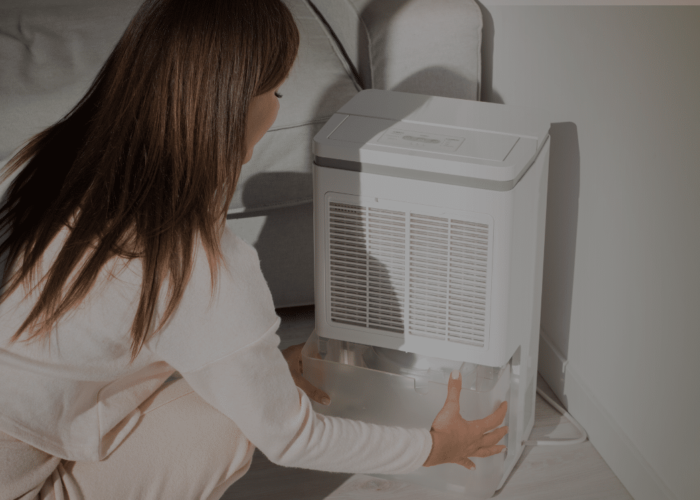 Pros And Cons Of A Whole House Humidifier