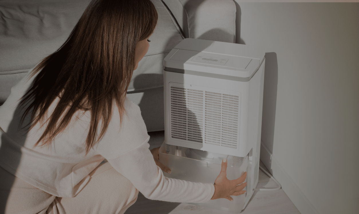 pros and cons of a whole house humidifier
